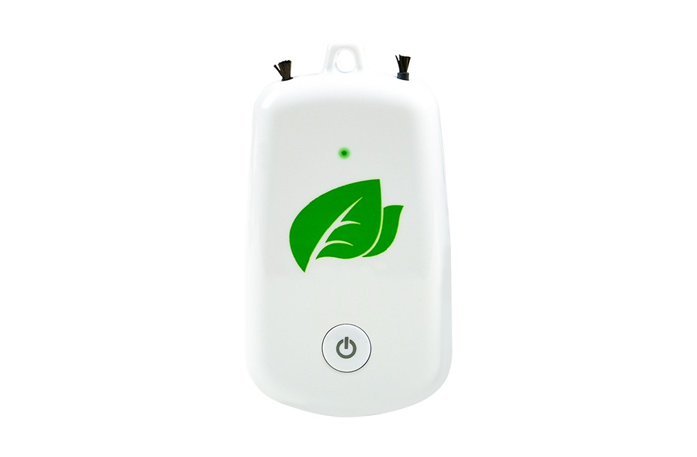 Portable negative ion air purifier